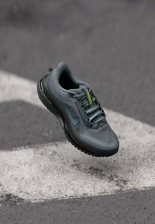 Nike Pegasus Premium
