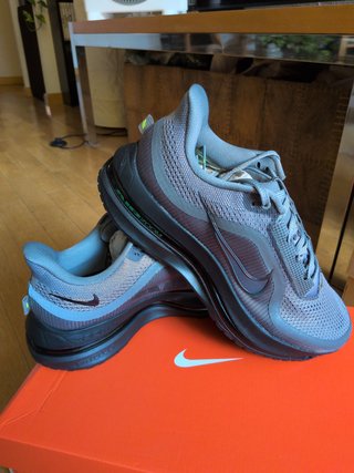 Nike Pegasus Premium