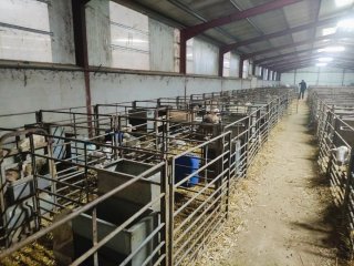 Material ganadero ovino - Jaulas parición