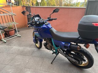 Honda Dominator 650CC