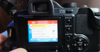 Panasonic Lumix DMC-FZ50 Cámara puente digital