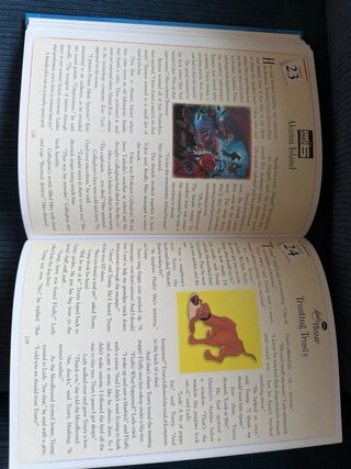 Libro 365 stories