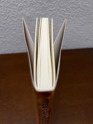 El camino del hombre superior - David Deida