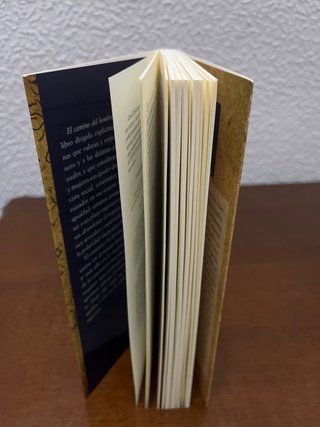 El camino del hombre superior - David Deida
