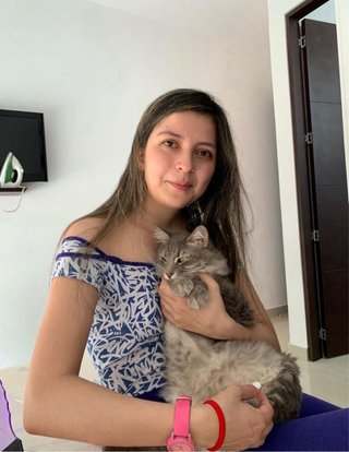 Paseo y cuidado profesional de perros y gatos