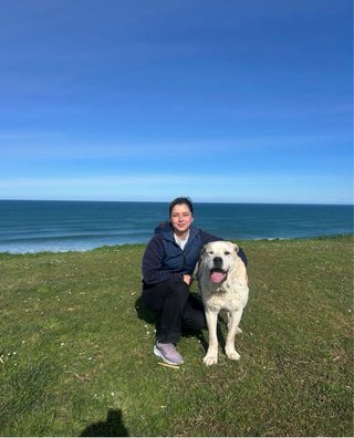 Paseo y cuidado profesional de perros y gatos
