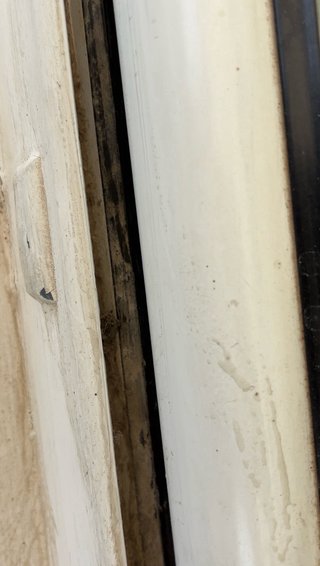 Limpieza de casas y apartamentos