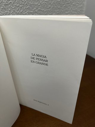 La Magia de Pensar en Grande - David J Shavart