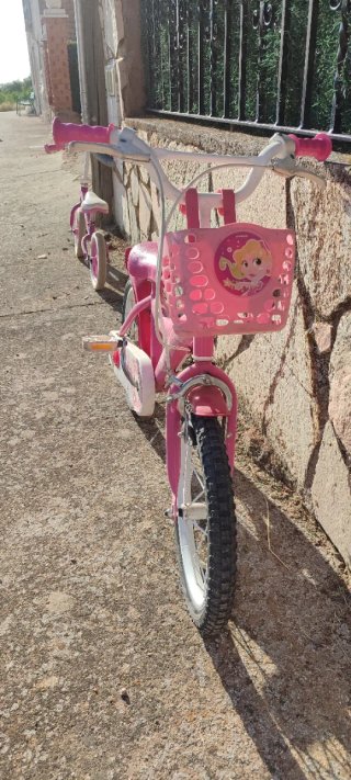 Bicicleta Infantil Rosa
