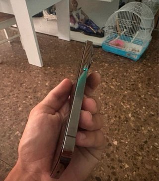 iPhone 13 Pro Gris/Verde