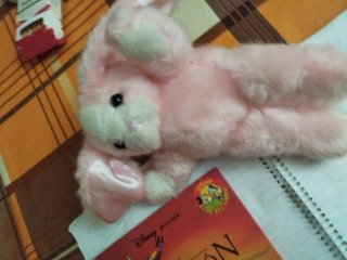 Lote Juguetes Niños: Libro Rey León, Peluche Conej