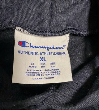 Sudadera Champion Lake Superior State University X