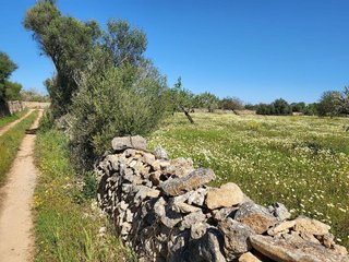 Terreno en venta en Campos