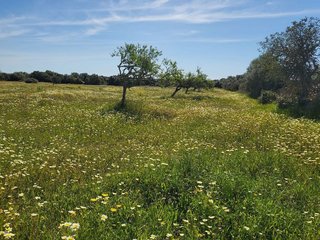 Terreno en venta en Campos