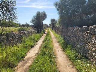 Terreno en venta en Campos