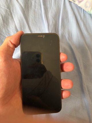 iPhone 12 Pro Gris
