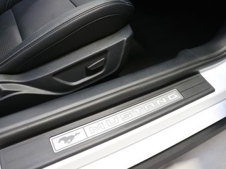 Ford Mustang 5.0 Ti-VCT V8 Cabrio GT Fastback 331 kW (450 CV)