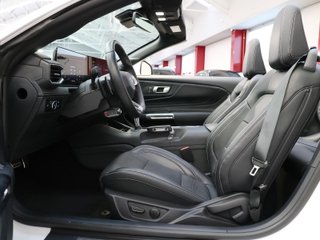 Ford Mustang 5.0 Ti-VCT V8 Cabrio GT Fastback 331 kW (450 CV)