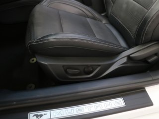 Ford Mustang 5.0 Ti-VCT V8 Cabrio GT Fastback 331 kW (450 CV)