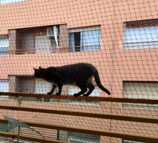 Montaje Red Protección Gatos  Económica