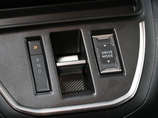 Fiat Ulysse BlueHDi 180 SANDS Talla XL AT8 132 kW (180 CV)