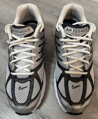 Zapatillas Nike Air Pegasus 2005
