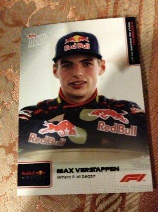 Cromo Max Verstappen Red Bull Racing