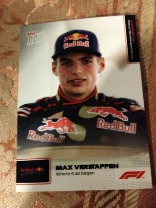 Cromo Max Verstappen Red Bull Racing