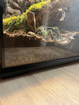 Terrario con decoración natural