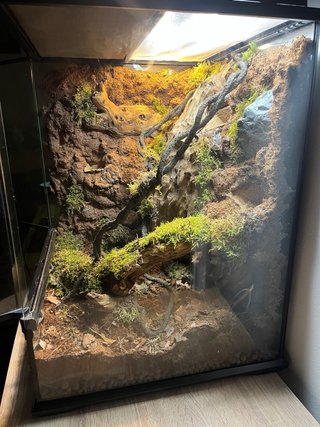 Terrario con decoración natural