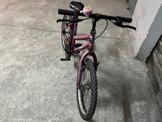 Bicicleta infantil rueda 20 pulgadas