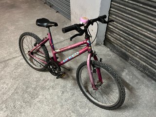 Bicicleta infantil rueda 20 pulgadas