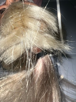 Muñeca Ideal 1970s
