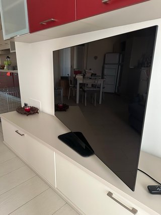 TV 55 LG OLED 4K Smart TV WiFi HDR