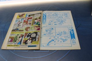 Comics. Héroes Marvel: La Salvaje Mujer Masa #1. 1981.
