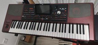 Korg PA1000 Teclado Profesional