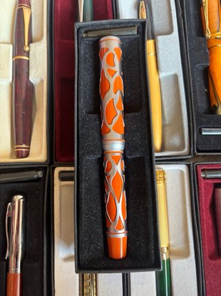 Set penne stilografiche da collezione