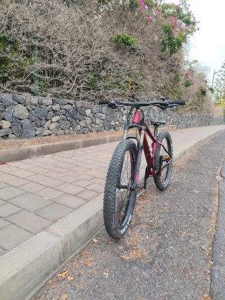 Bicicleta Scott Montaña