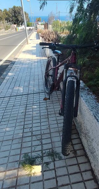 Bicicleta Scott Montaña