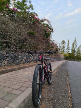 Bicicleta Scott Montaña