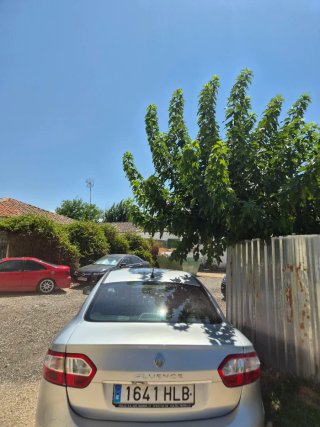 Renault Fluence 2012