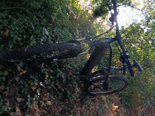 Bicicleta eléctrica Moma E-MTB 29"