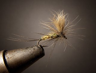 MOSCAS PARA LA PESCA DE TRUCHAS