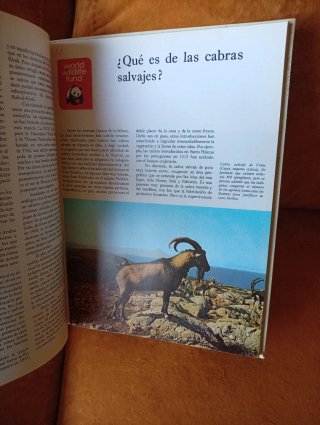 Animales en peligro