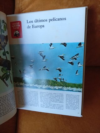 Animales en peligro