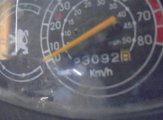 Peugeot 10166 árbol de levas v-clic 50