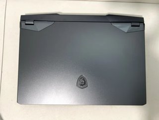 Portátil MSI GE76 Raider i9/64GB/2TB/RTX3070/17.3