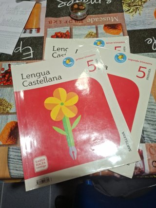 Lengua castellana 5 Primaria