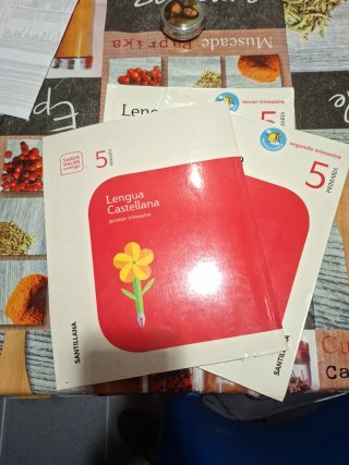 Lengua castellana 5 Primaria