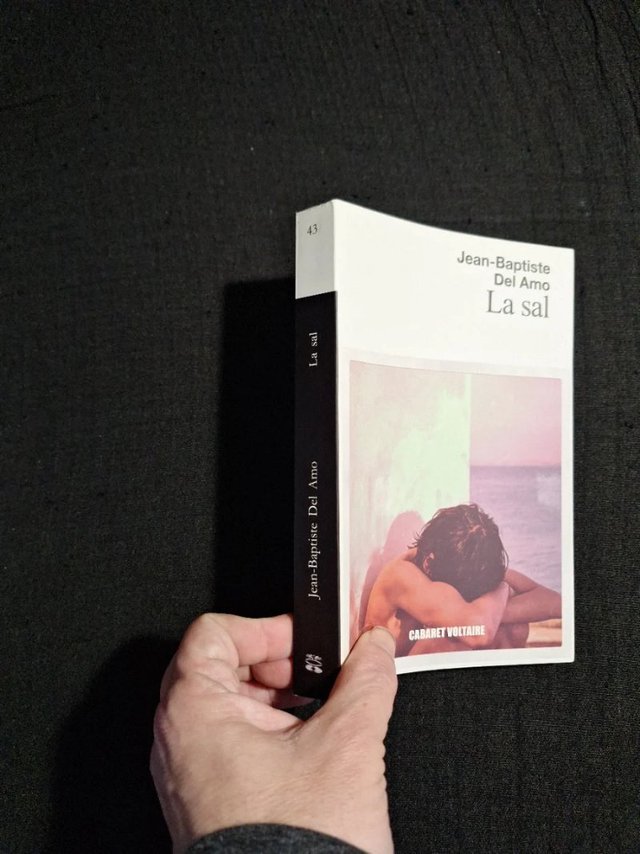 Jean-Baptiste del Amo. La sal